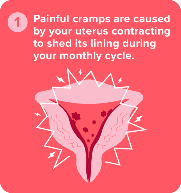 Painful cramps are caused by your uterus contracting to shed its lining during your monthly cycle.
